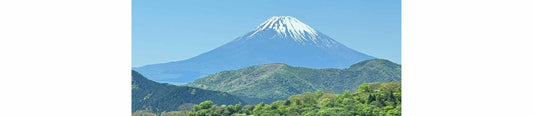 Le Mont Fuji,  la montagne éternelle !