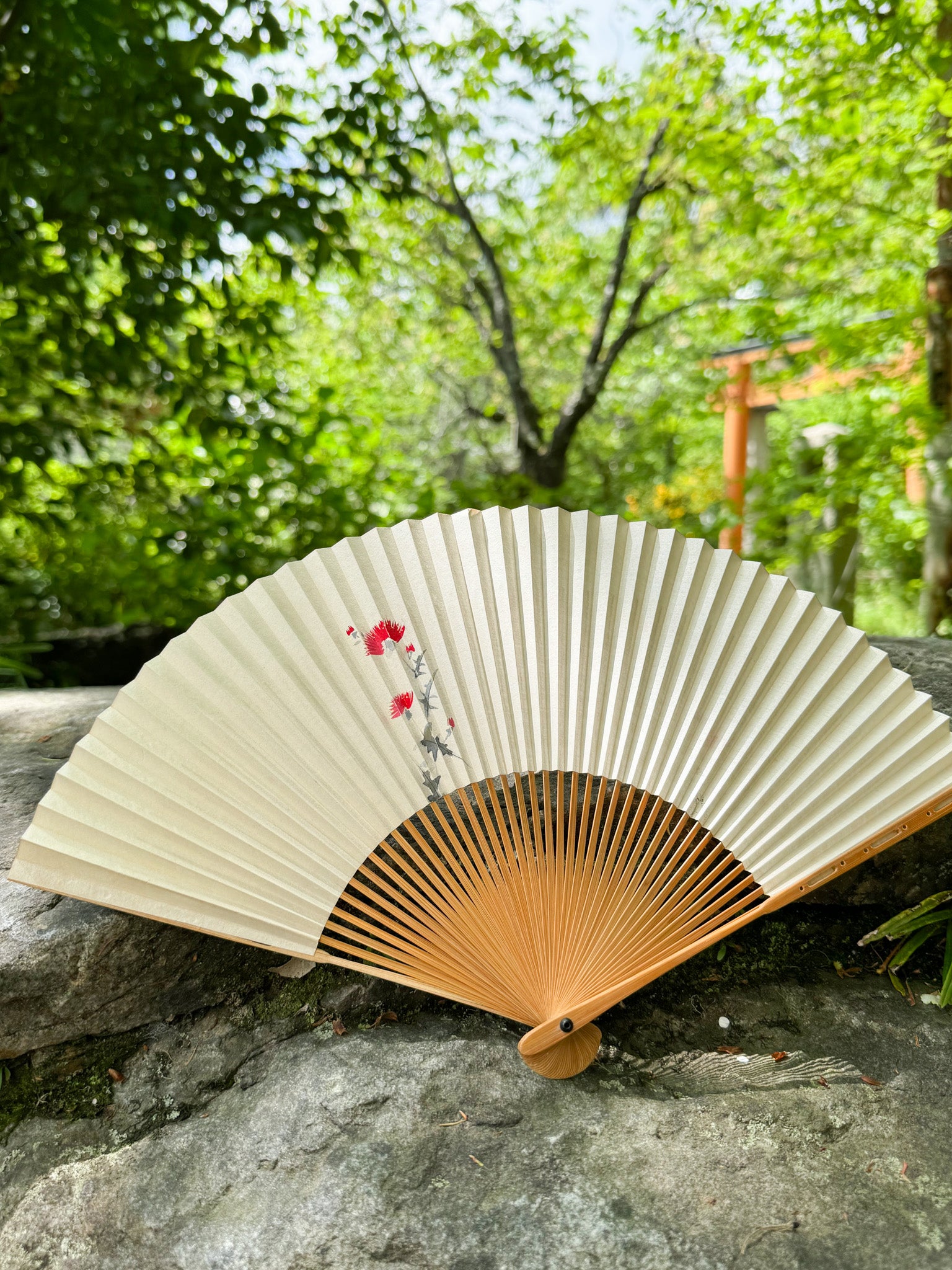 éventail japonais blanc motif fleur rouge, devant tori