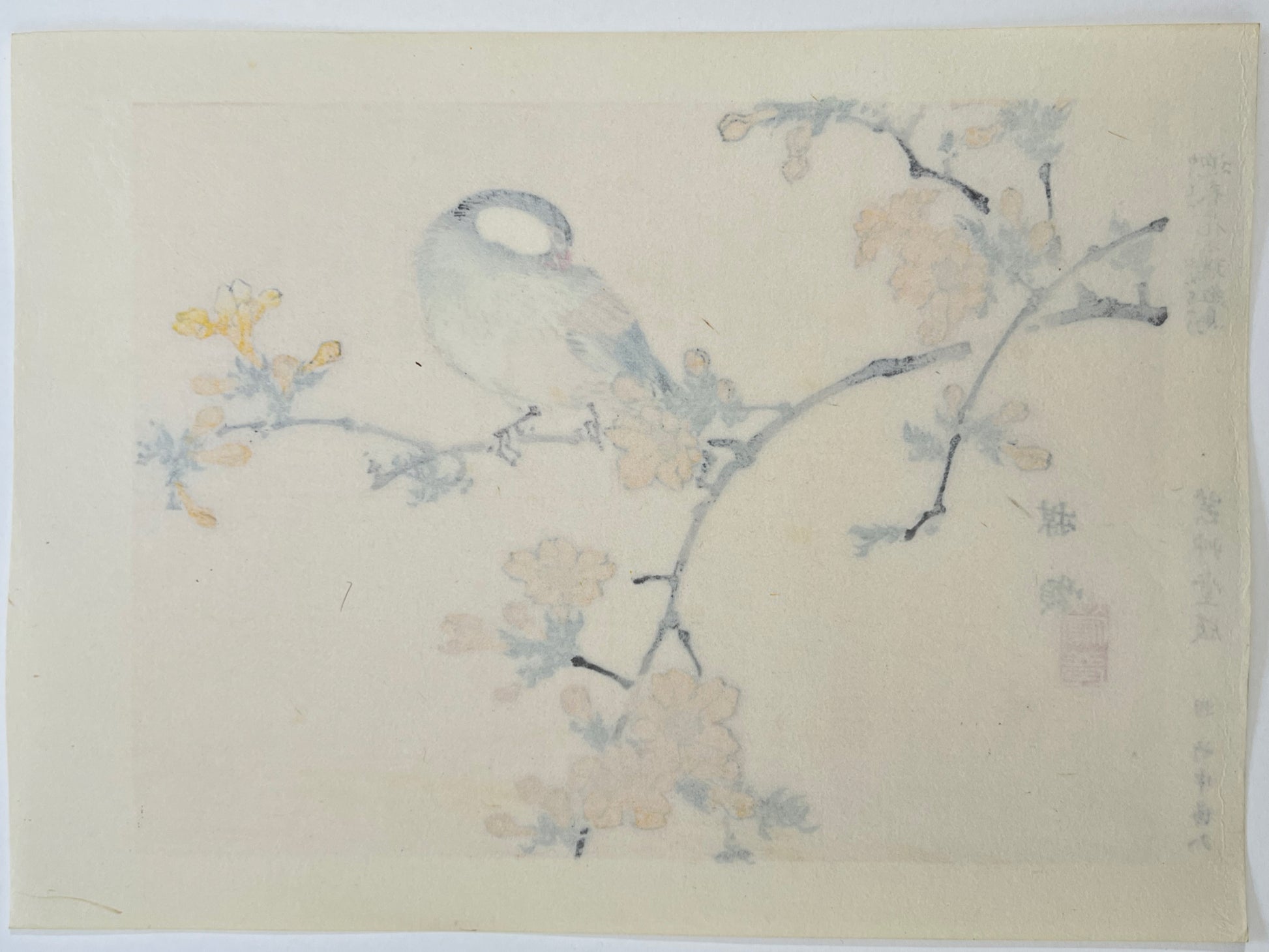 estampe japonaise oiseau et fleurs jaunes, dos de l'estampe