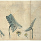 peinture japonaise sumi-e représentant un lotus et fleurs naissantes, sur papier washi, recto