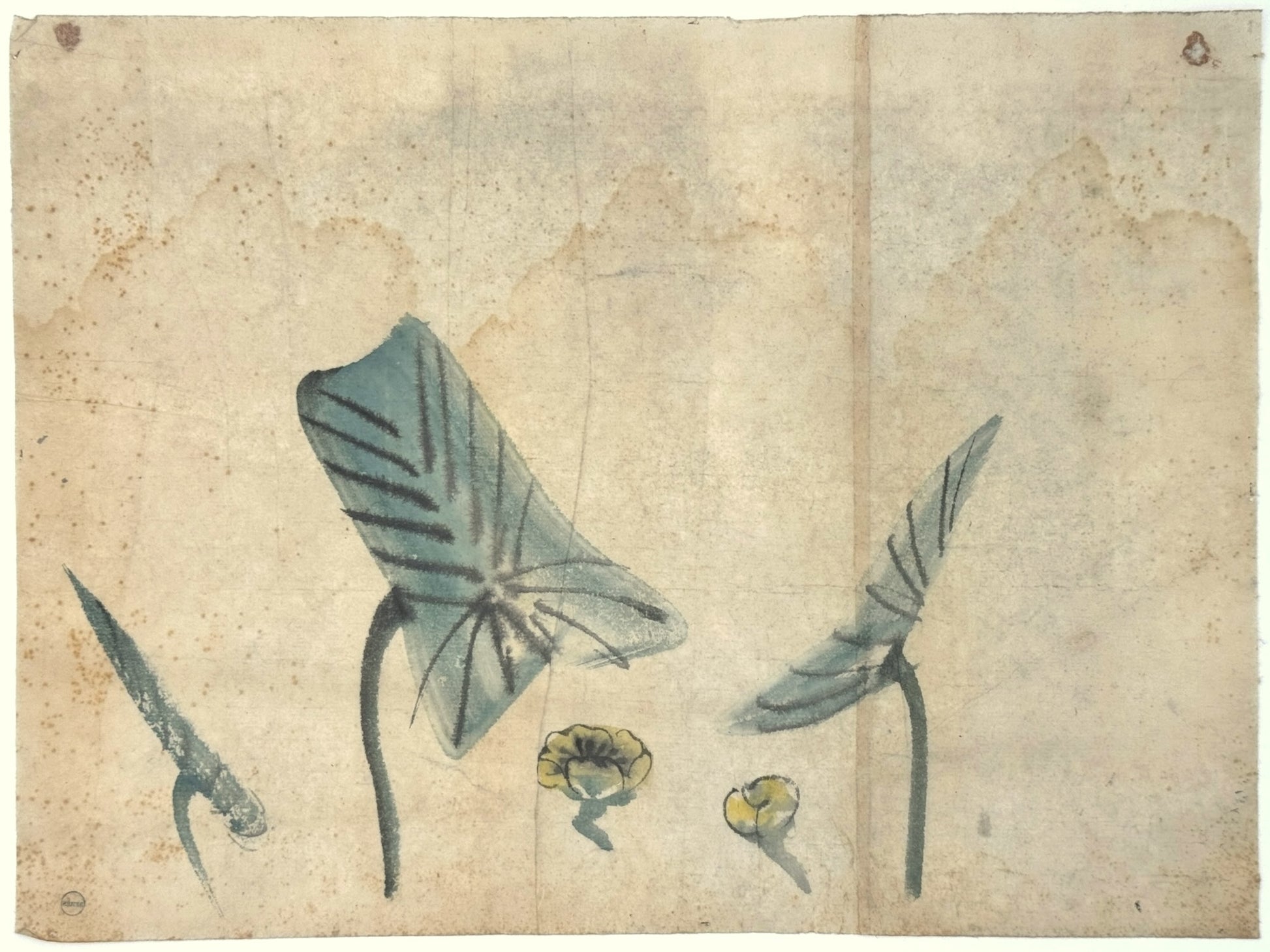 peinture japonaise sumi-e représentant un lotus et fleurs naissantes, sur papier washi, recto