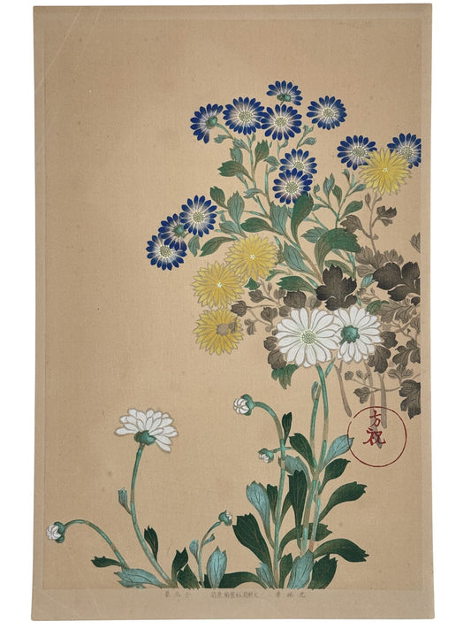 Estampe Japonaise | Chrysanthèmes et asters bleus