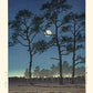 Estampe japonaise d'un paysage une nuit de pleine lune, des arbres se reflétant sur l'eau, de Hasui en reproduction Fine Art