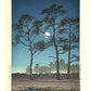 estampe japonaise de hasui kawase lune d hiver a toyama arbre et ombre dans la nuit japanese print uchiwa gallery