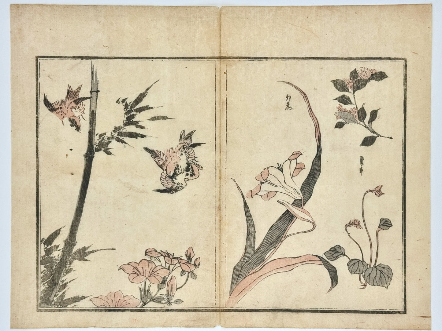 Estampe Japonaise de Hokkei Toyota, La manga, trois Moineaux virevoltant autour d'un bambou, lys asiatique, lys japonais, fleurs d'eupatoire et rose trémière. 