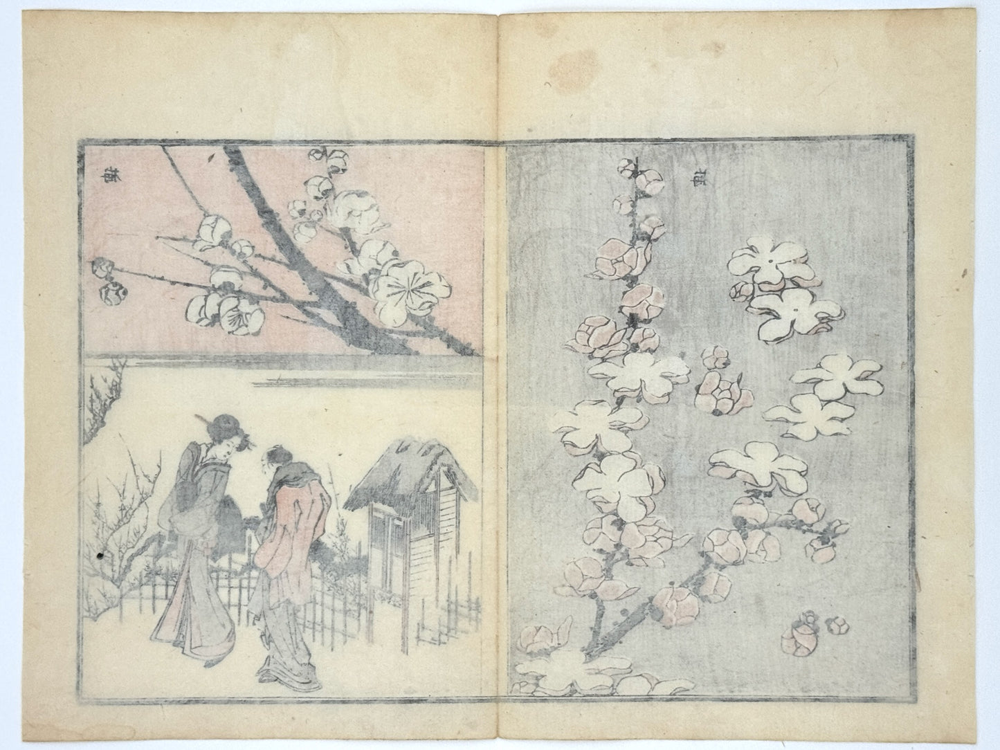 Estampe japonaise de Toyota Hokkei, Fleurs de prunier, branches et bourgeons. Couple sur chemin dos à leur jardin maison toit en paille, dos estampe
