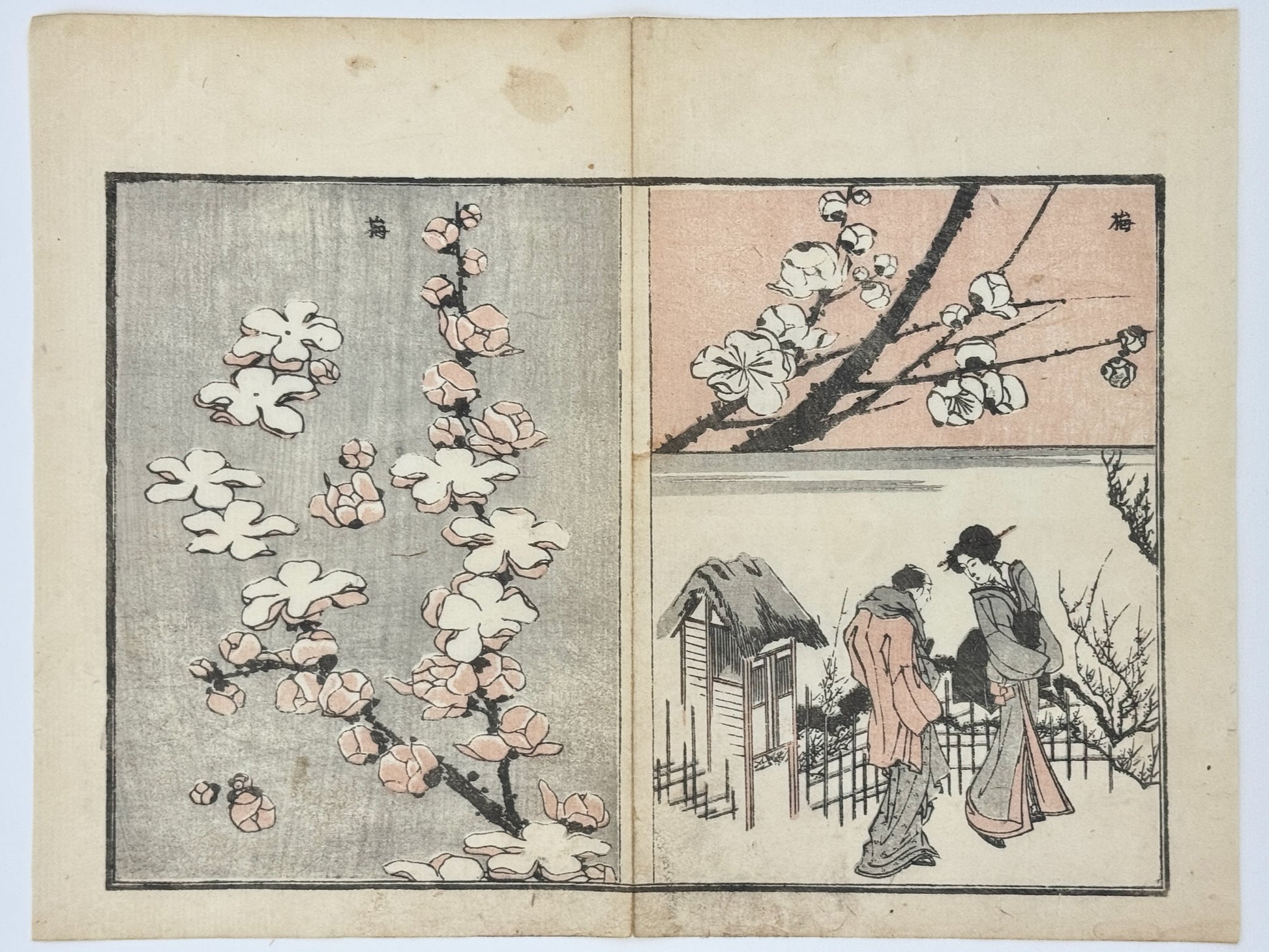 Estampe japonaise de Toyota Hokkei, Fleurs de prunier, branches et bourgeons. Couple sur chemin dos à leur jardin maison toit en paille