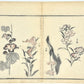 Estampe japonaise de Toyota Hokkei, la manga, croquis de fleurs, fleurs Lys japonais, iris dos estampe