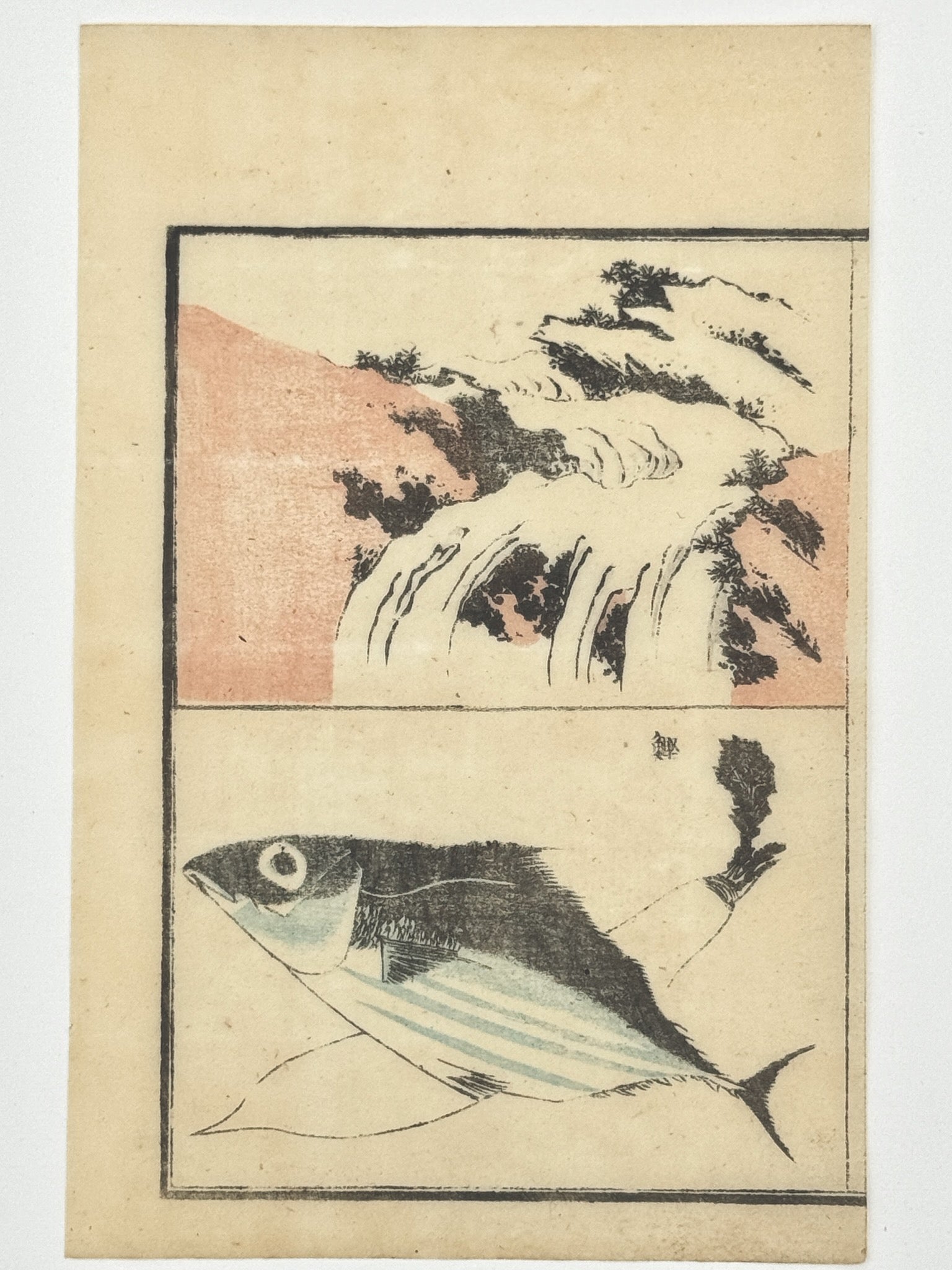 Estampe Japonaise de Toyota Hokkei, Cascade, chute d'eau, poissons ecailles bleues et radis daikon blanc. 