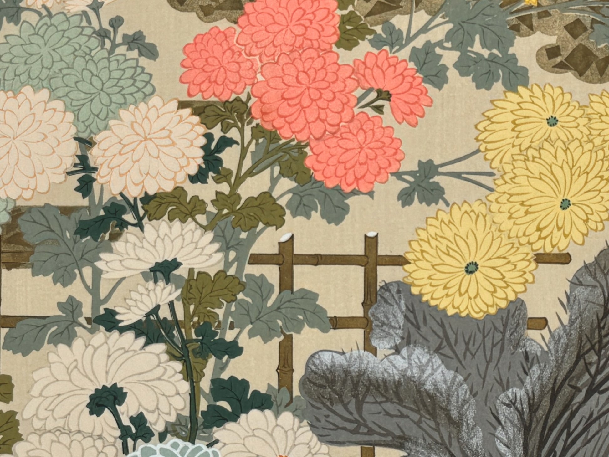 estampe japonaise ecole Kano, chrysanthèmes multicolores, gros plan sur les fleurs