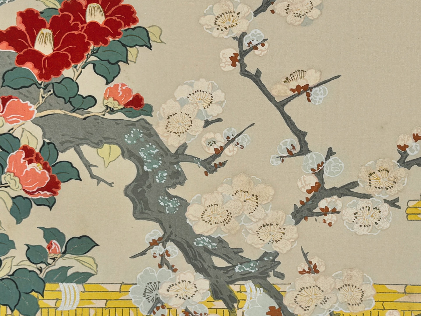 estampe japonaise école Kano, printemps avec prunier et camélia en fleurs, gros plan fleur rouge camélia et fleurs blanches prunier