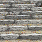 Estampe japonaise contemporaine de teruhide kato marches parsemées de feuilles d'arebles rouge et jaune vers le temple sando in a l'automne, l'escalier parsemé de feuilles rouges et jaunes tombées des érables