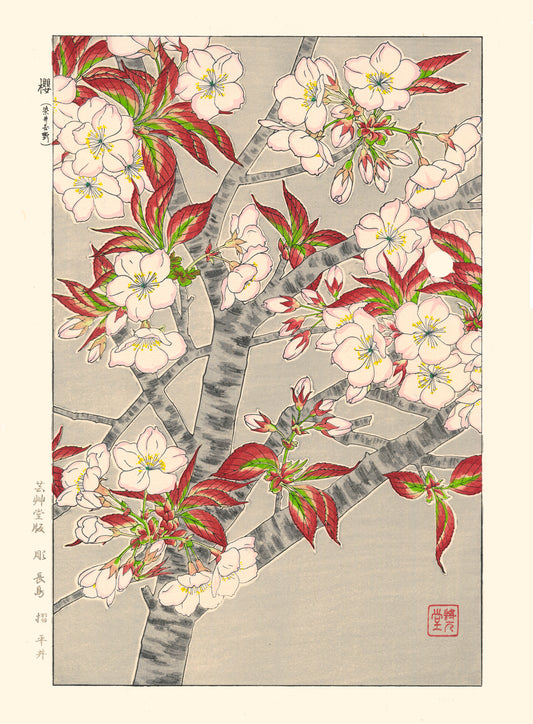 estampe japonaise reproduction fine art branche de cerisier en flaurs