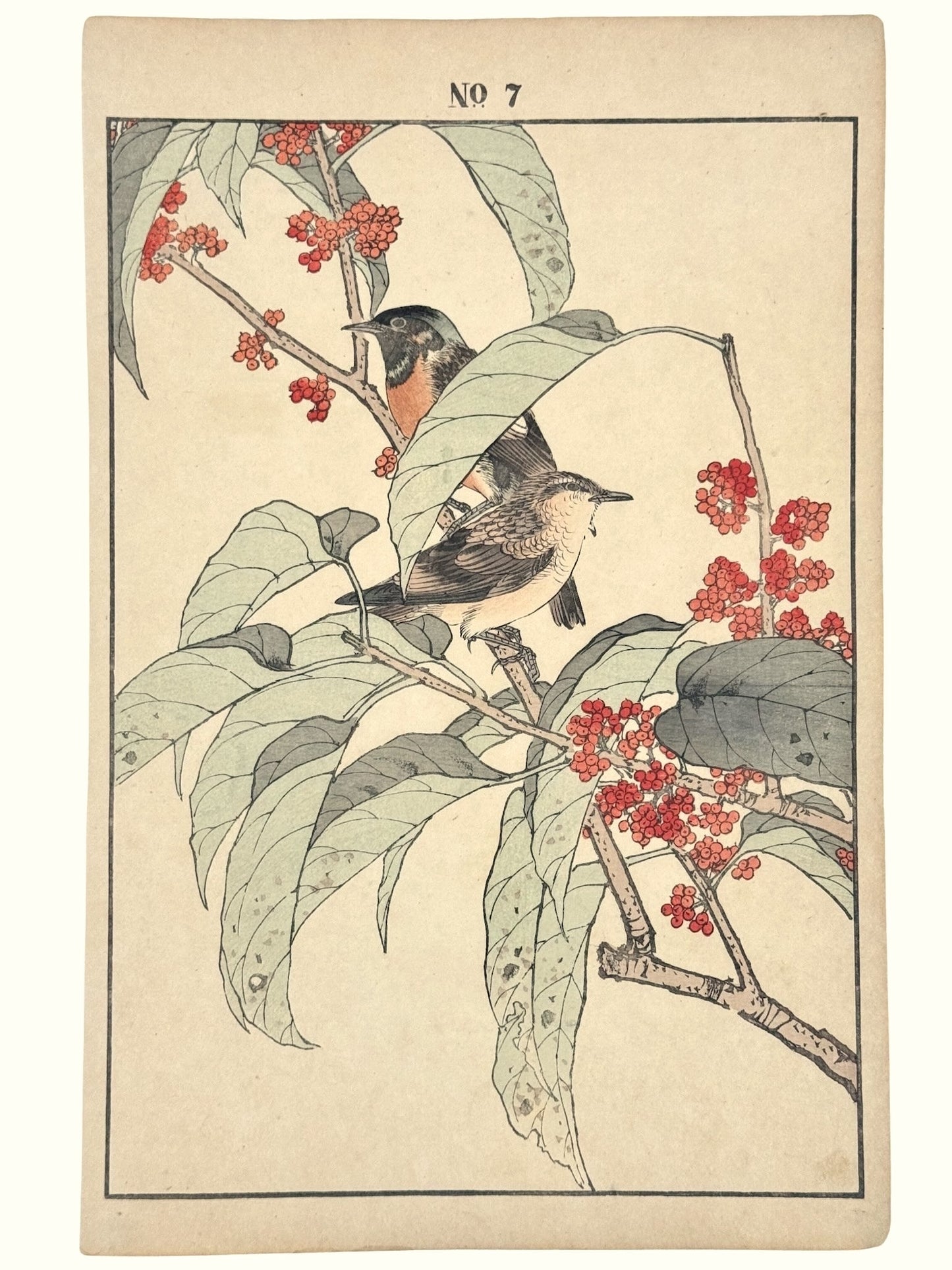 Estampe Japonaise de Keinen Imao, Passereaux et houx japonais, fruit rouge, feuilles, branchage, numéro 7