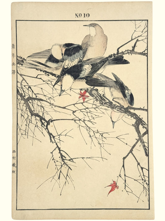 Estampe Japonaise de Keinen Imao, quatre etourneaux, erable du Japon, oiseaux numéro 10