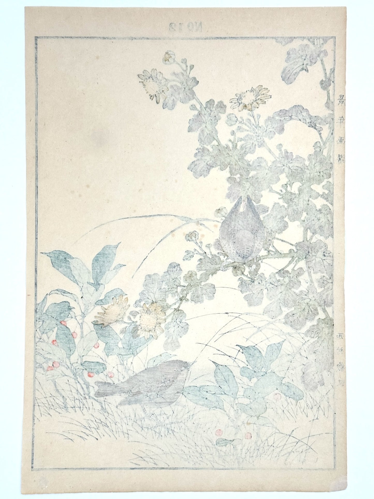 Estampe Japonaise de Keinen, troglodytes et chrysanthèmes, fleurs et oiseaux petites baies rouges, dos estampe