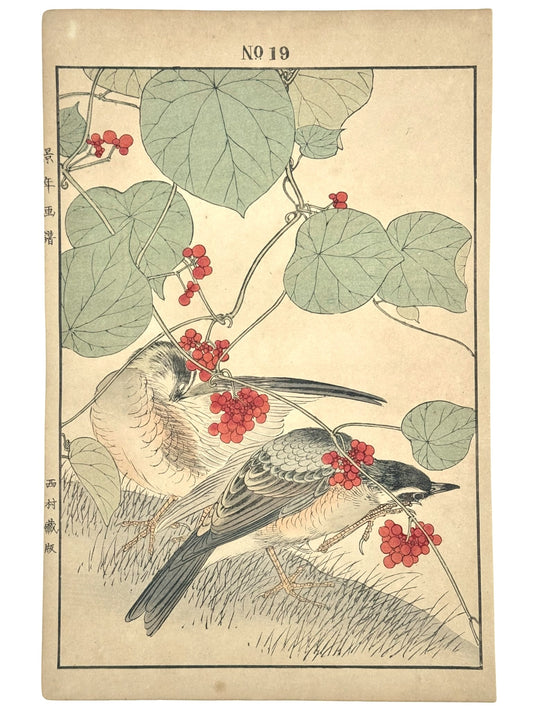 Estampe Japonaise Keinen Imao, grives et vigne serpent, fruit rouge, oiseau, feuilles vertes, numéro 19