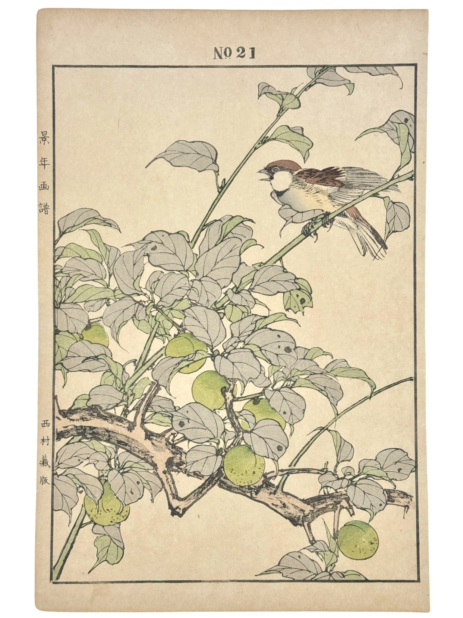 Estampe Japonaise de Imao Keinen, été, moineau et prunier, branche, feuille et oiseau, fruits verts
