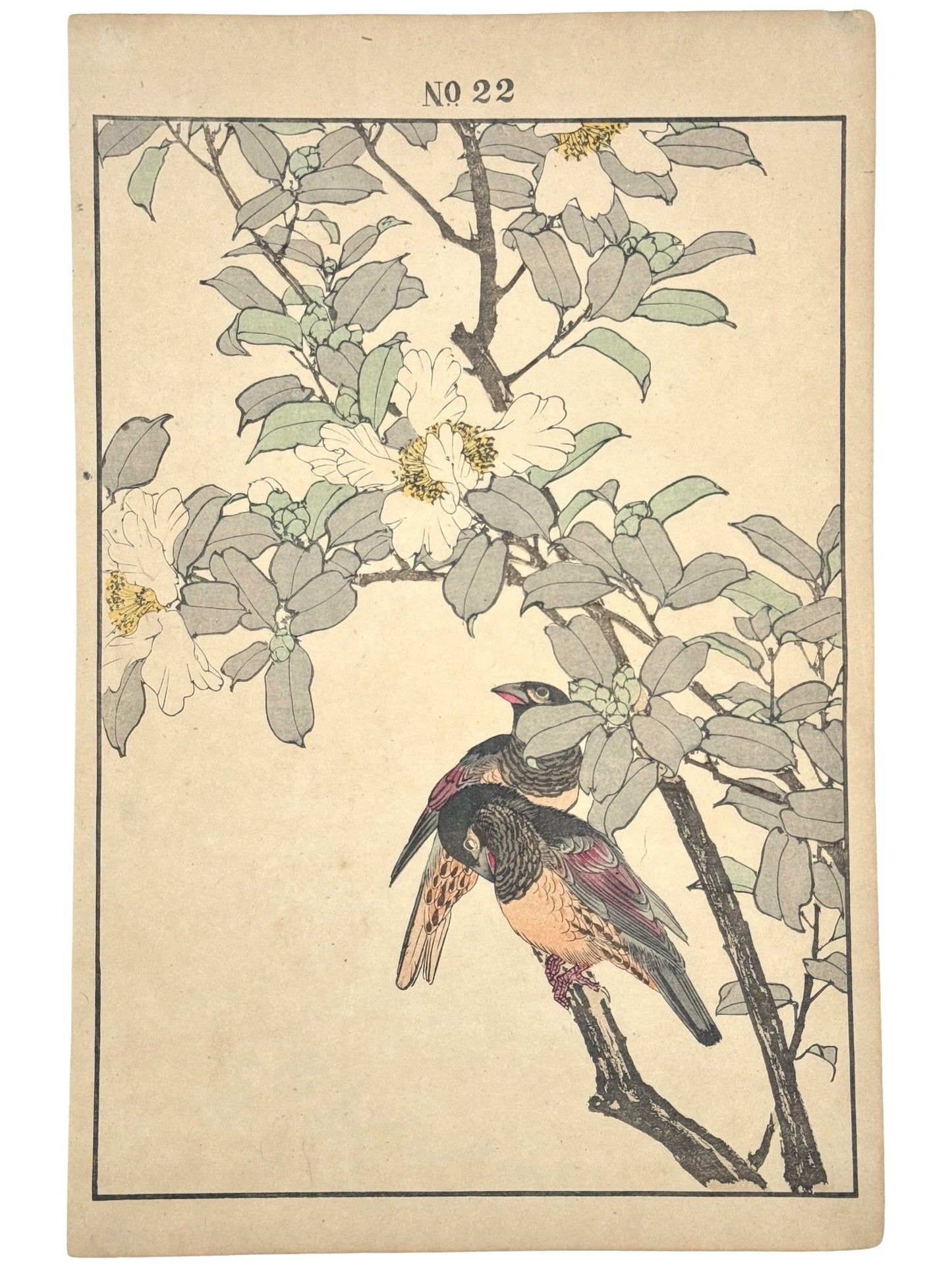 Estampe Japonaise de Imao Keinen, passereaux, camélia, automne, numéro 22