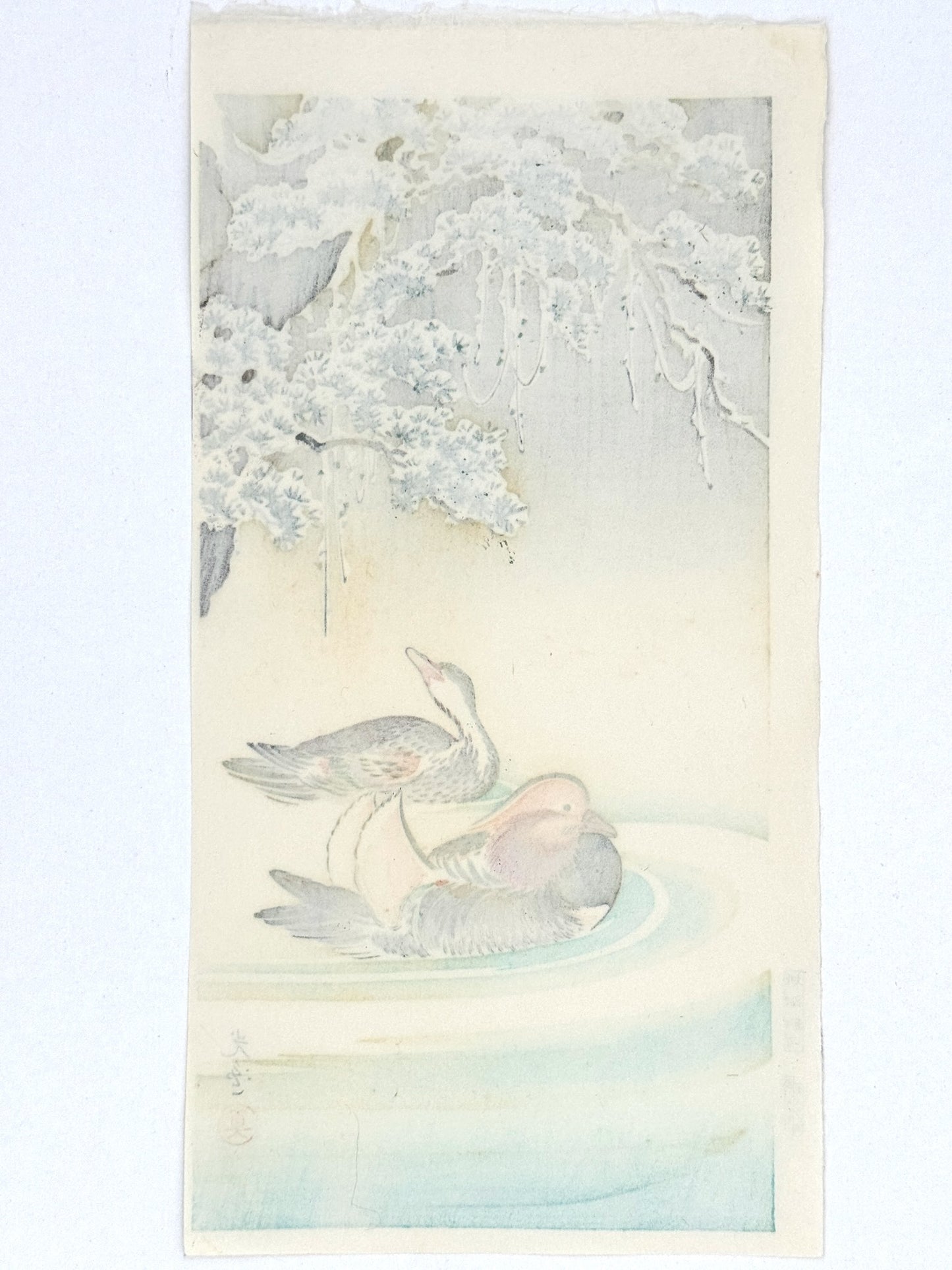 estampe japonaise de Koitsu, couple de canards mandarin nageant sous des pins couvert de neige, verso de l'estampe