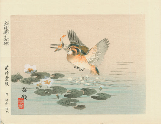 estampe japonaise oiseau martin-pêcheur avec poisson dans bec volant au dessus de l'eau et nénuphars blancs