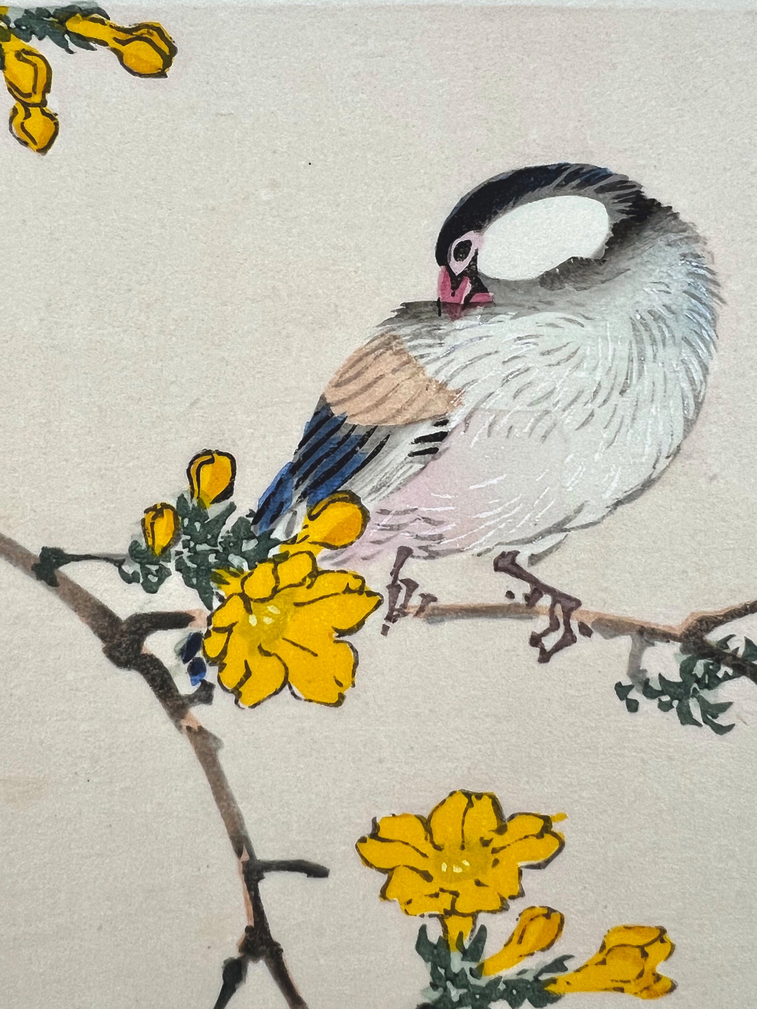 estampe japonaise oiseau et fleurs jaunes, oiseau endormi