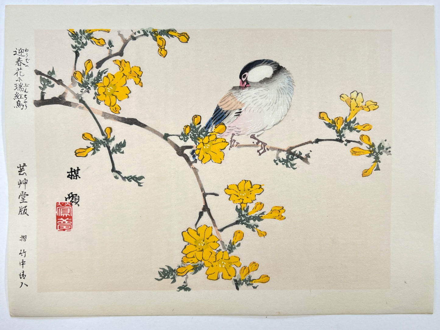 estampe japonaise kacho-ga de Kono Bairei oiseau sur une branche d'arbres aux fleurs jaunes