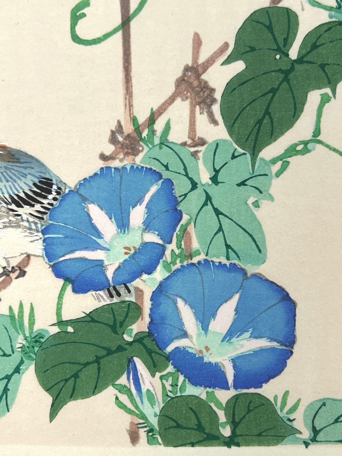 estampe japonaise oiseau et fleurs bleues, fleurs de liseron bleue