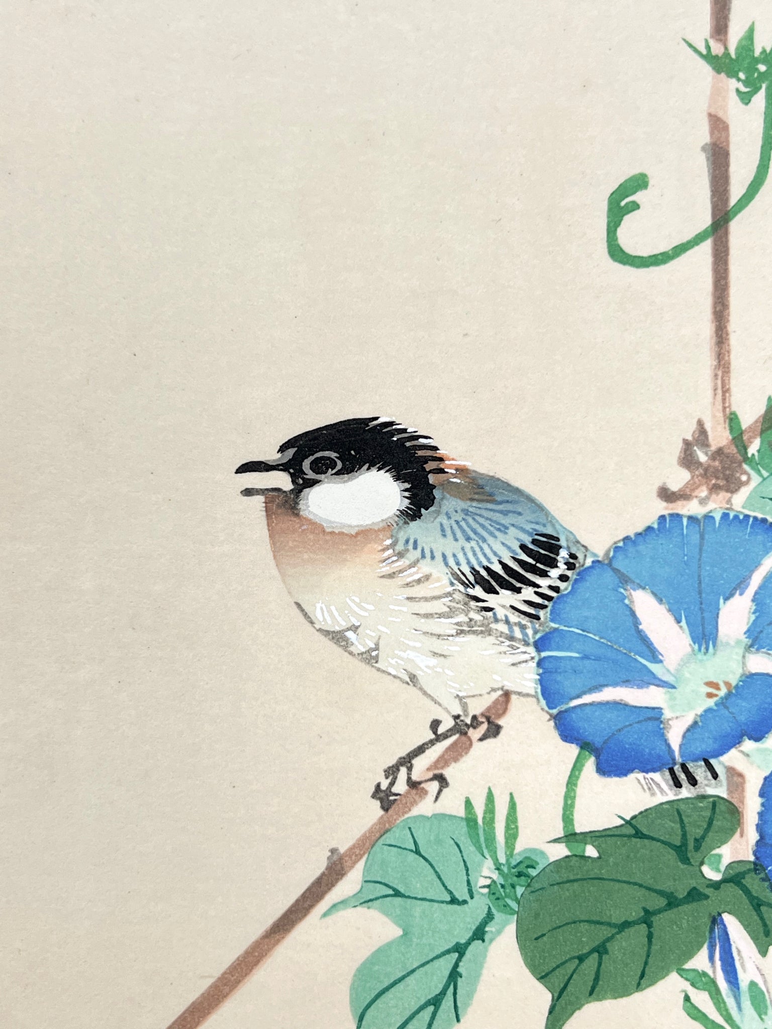 estampe japonaise oiseau et fleurs bleues, mésange