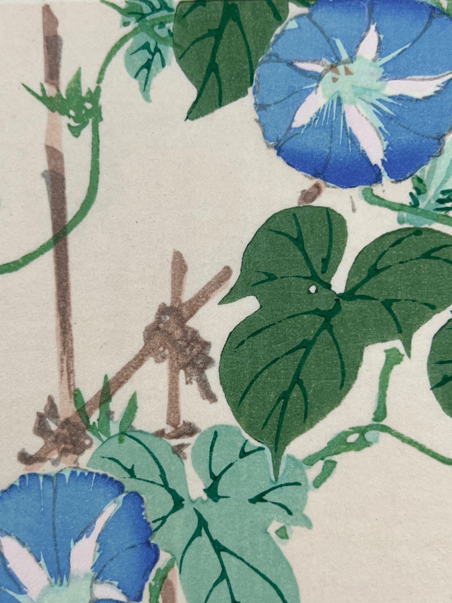 estampe japonaise oiseau et fleurs bleues, les feuilles verte