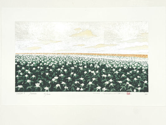 estampe japonaise contemporaine de paysage, champs de pommes de terre en fleur et ciel argenté