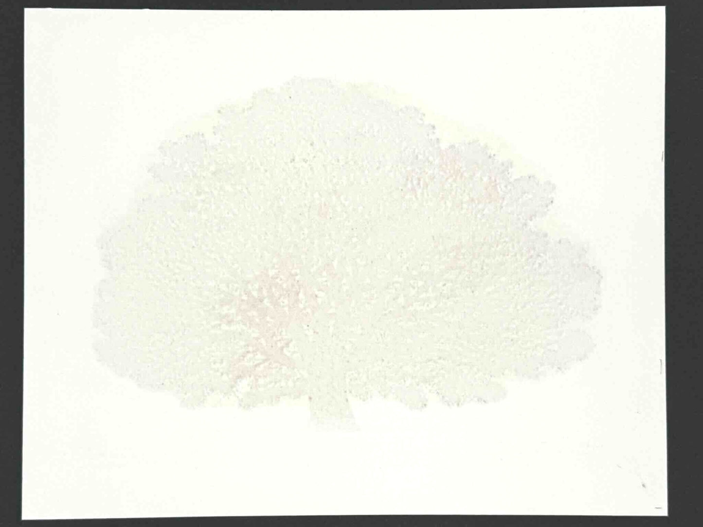 Estampe japonaise contemporaine de Namiki Hajime, Un grand arbre rouge sur fond or, signé et numéroté au crayon à papier. Dos estampe.