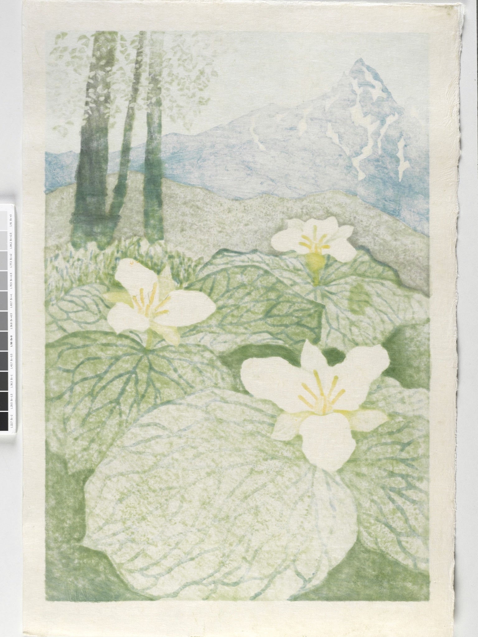 estampe japonaise fleurs blanches et montagne, dos de l'estampe