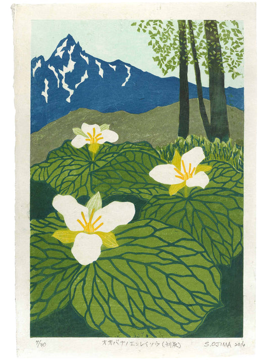 estampe japonaise fleurs blanches et montagne
