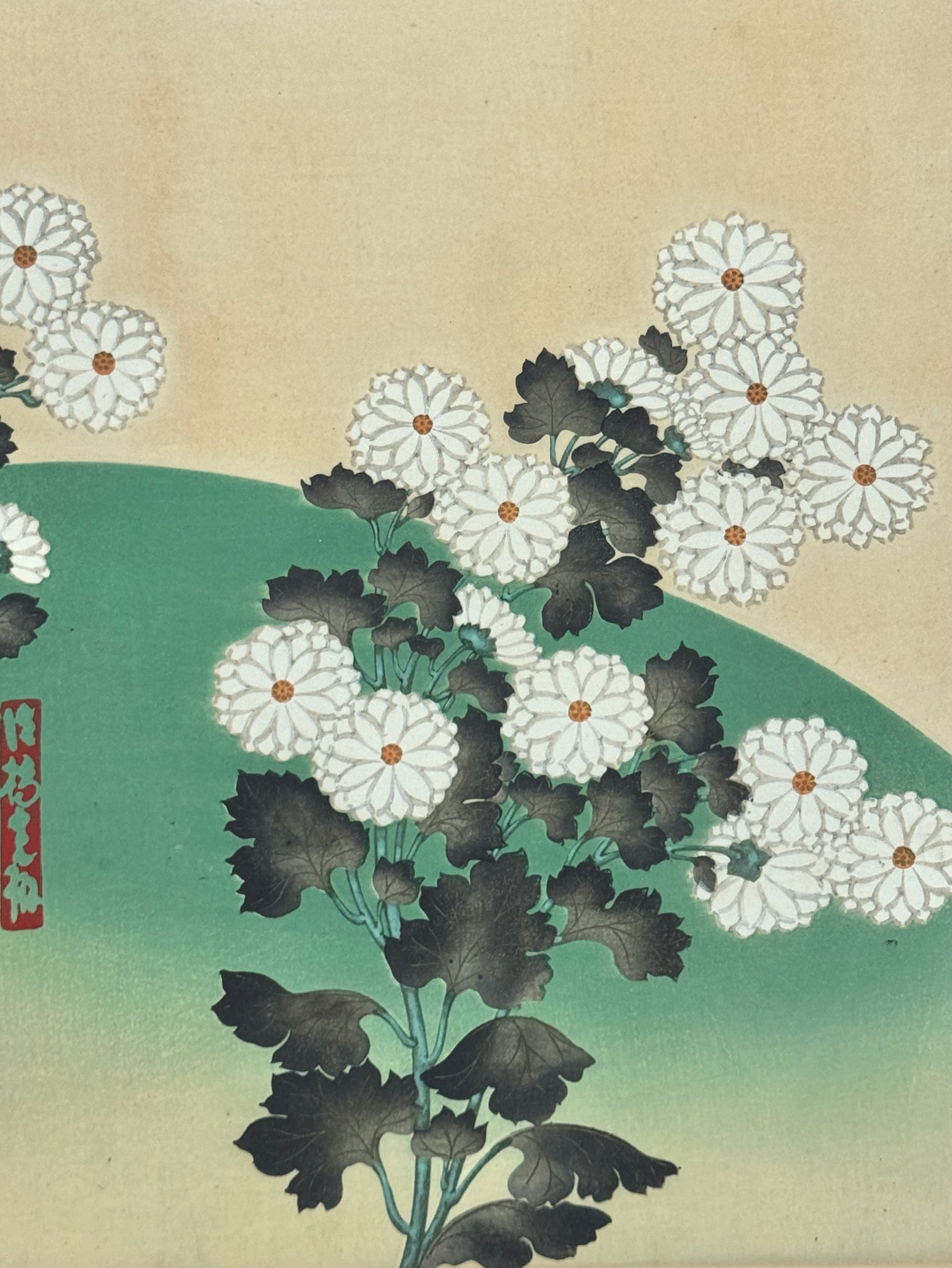 estampe japonaise Chrysanthème et rivière d'Ogata Korin école Rinpa, gros plan sur fleurs blanches