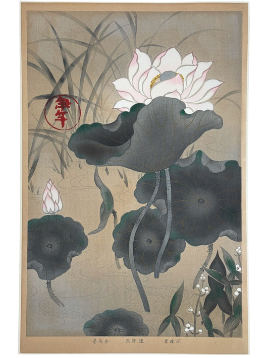 estampe japonaise école Rinpa de sotatsu, fleurs  de lotus