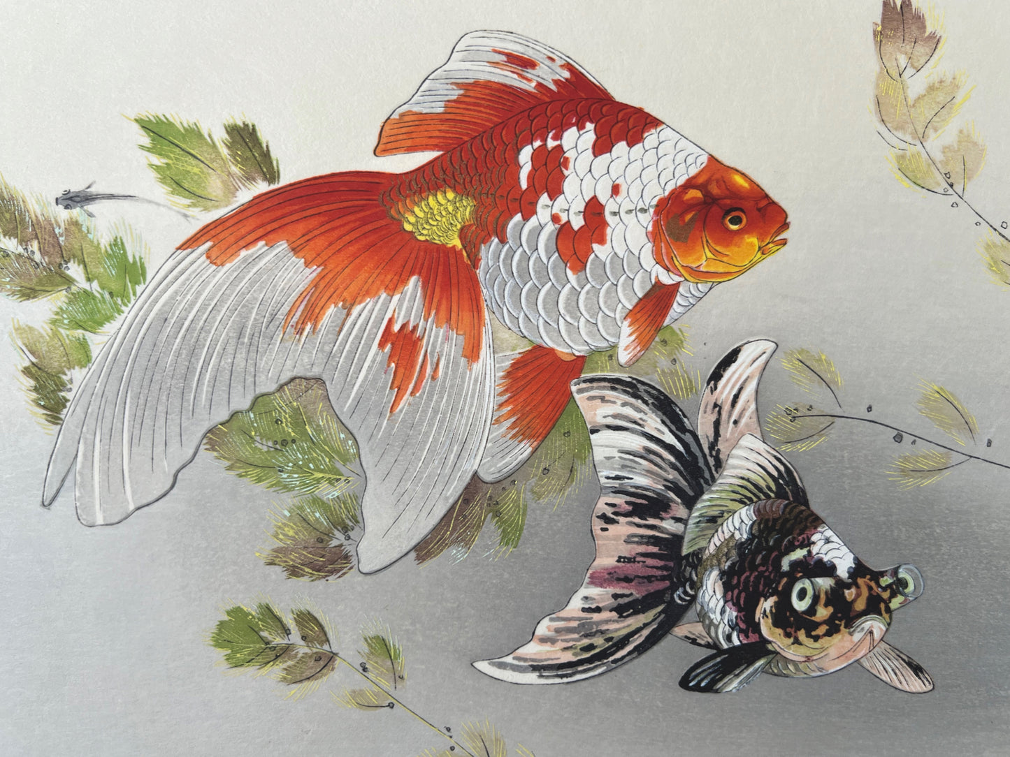 https://www.uchiwagallery.com/cdn/shop/files/tsuchiya-rakusan-gold-fish-tr23-01-deux-poissons.jpg?v=1686072060&width=1445