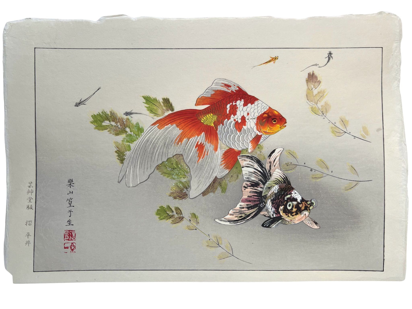 estampe japonaise contemporaine deux poissons rouges japonais et plante élodée