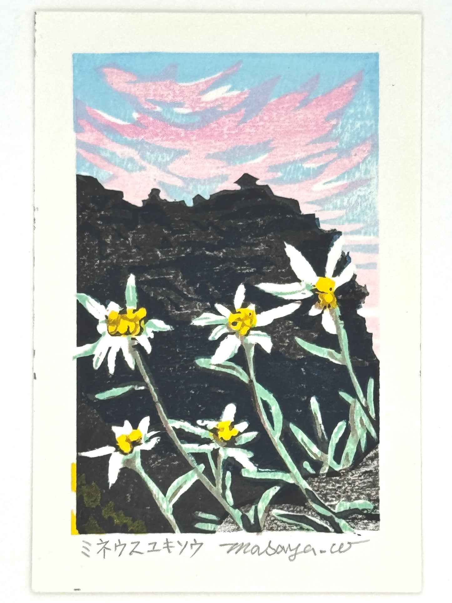 Estampe Japonaise contemporaine de Masaya Watabe, des fleurs edelweiss, blanches et jaunes, face à un paysage escarpé foncé marron contrasté par un ciel bleu et rose pastel. 