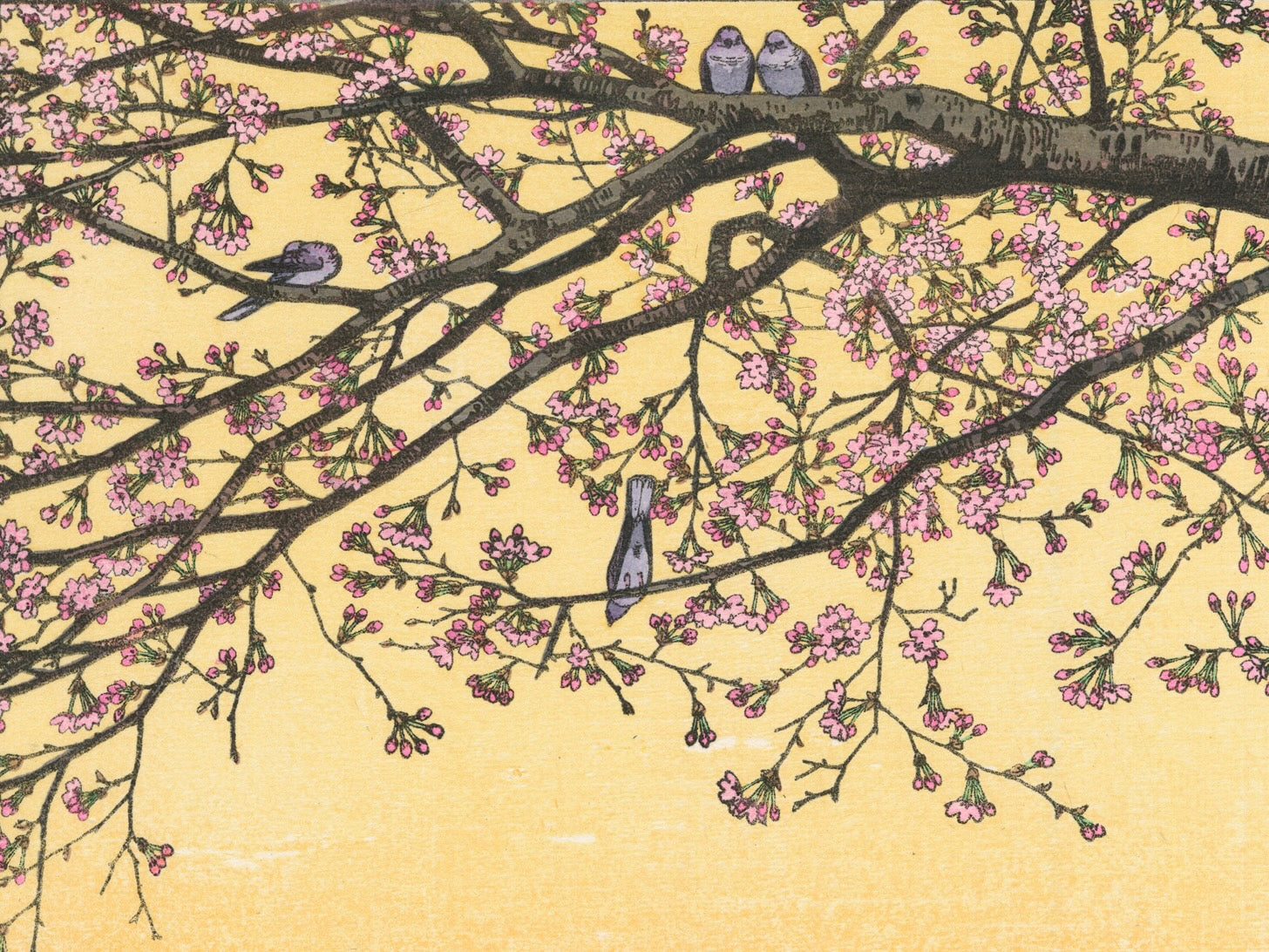 estampe japonaise cerisier en fleurs avec deux oiseaux sur une branche, gros plan sur les fleurs de cerisiers et les oiseaux