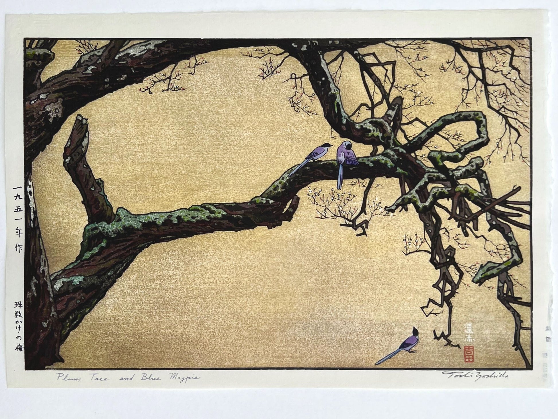 Estampe japonaise de Yoshida Toshi deux pies sur une branche de prunus en fleurs à la fin de l'hiver, une pie au sol qui les regarde